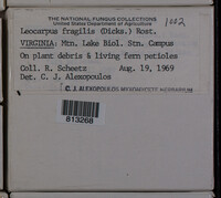 Image Associated With the Occurence
